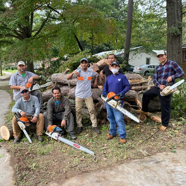 Completed tree removal and trimming work by BNC Tree Service in Charlotte